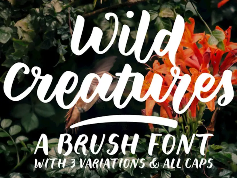 wild-creatures-font