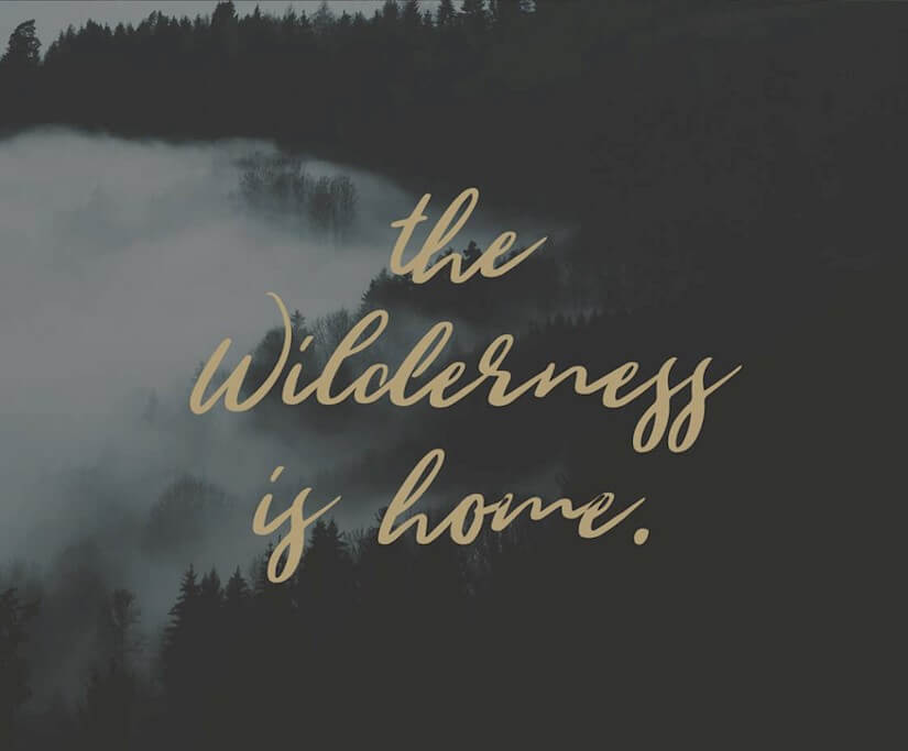 wilderness-font-free