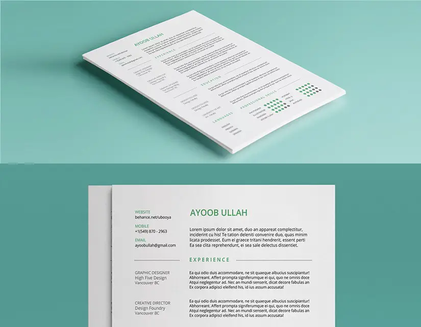 blue-green-resume-template
