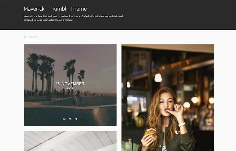 maverick portfolio tumblr theme