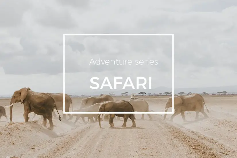 anventure-series-safari-lightroom-preset