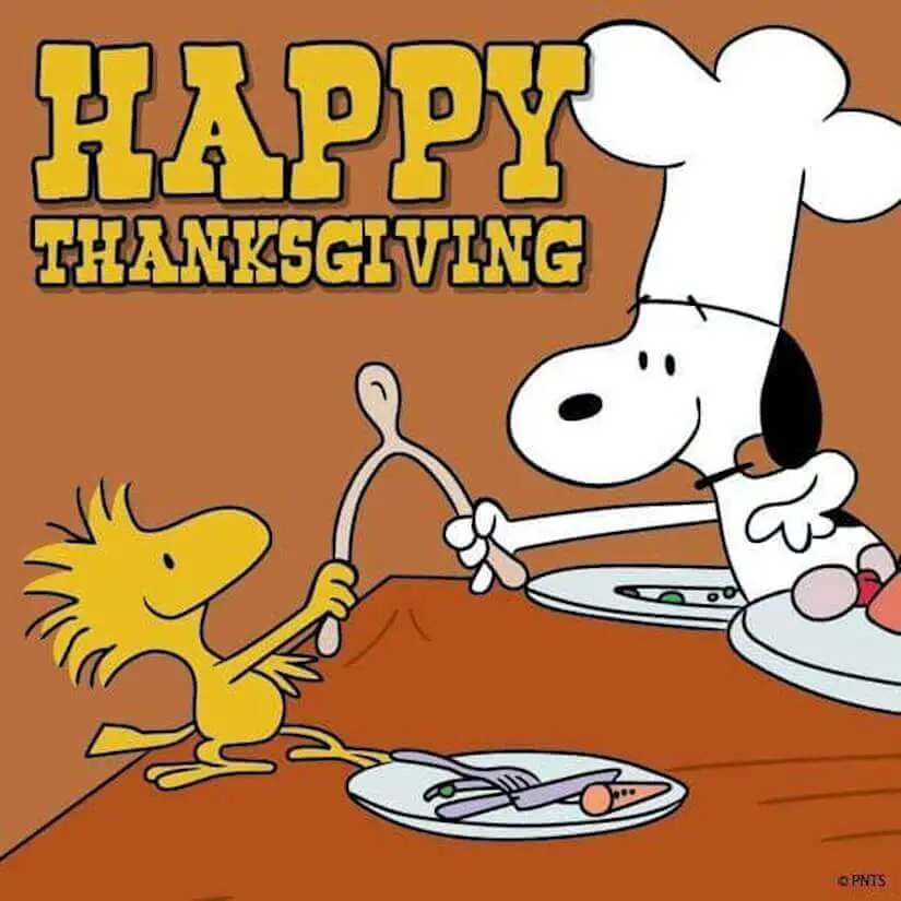 cartoon heroes thanksgiving image