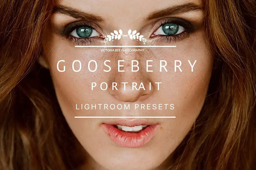 desktop-lightroom-preset-gooseberry