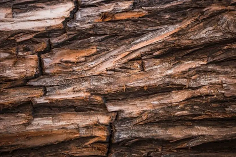 detailed wooden texture