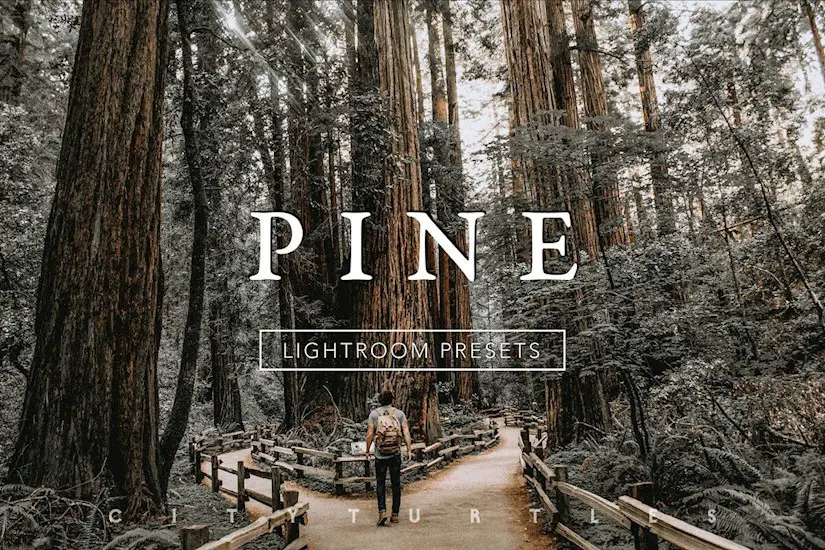 pine-lightroom-presets