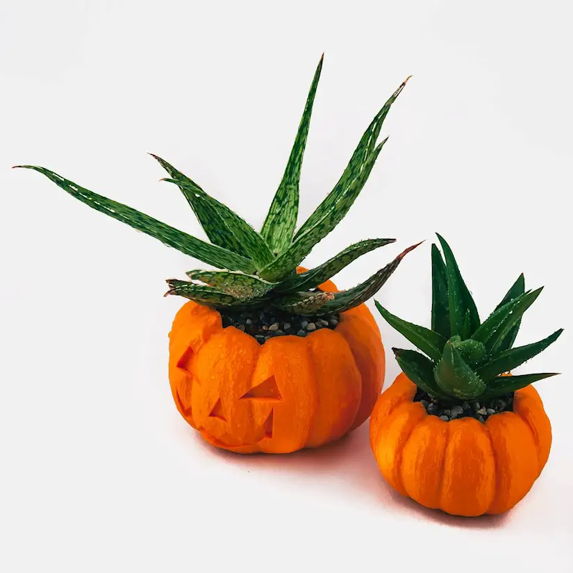 pumpkin decoration planter halloween gift