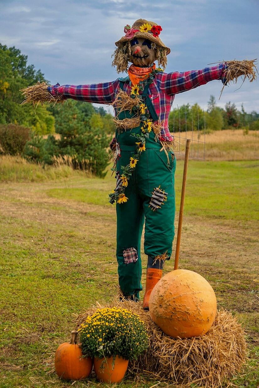 scarecrow with pumpkin