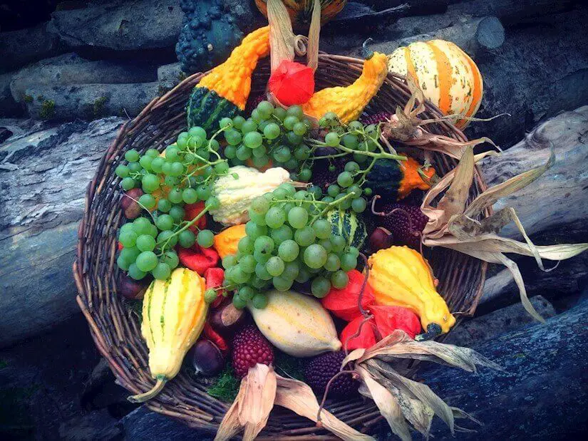 thanksgiving basket