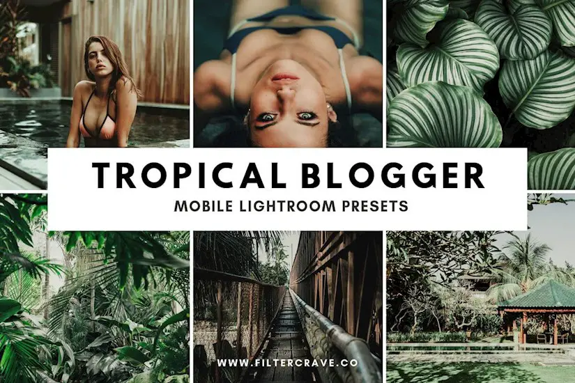 tropical-blogger-lightroom-presets