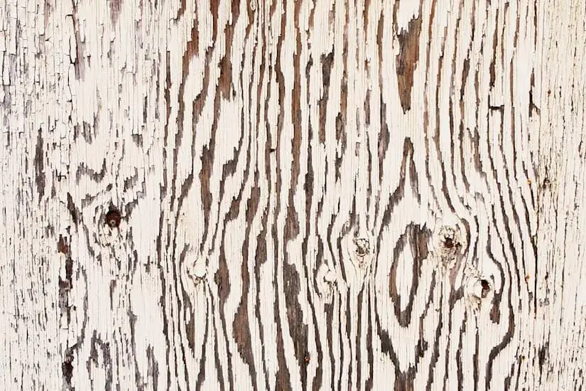 white paint wood texture