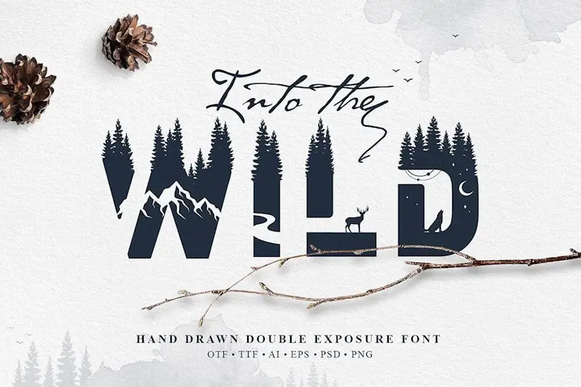 into the wild font