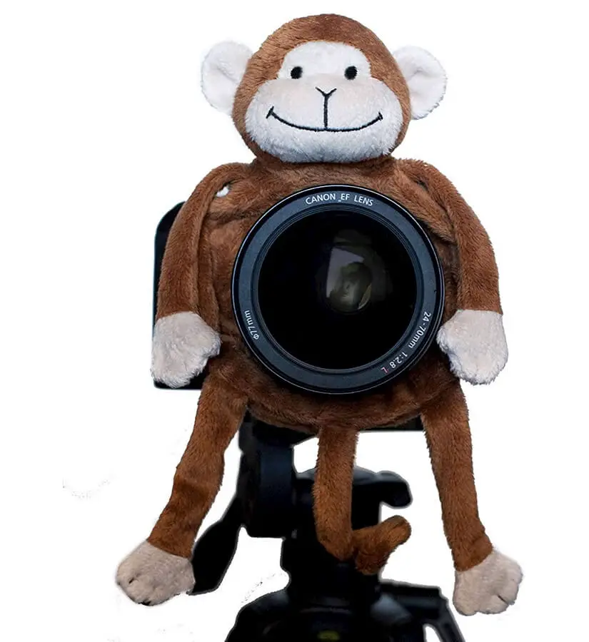 monkey shutter hugger