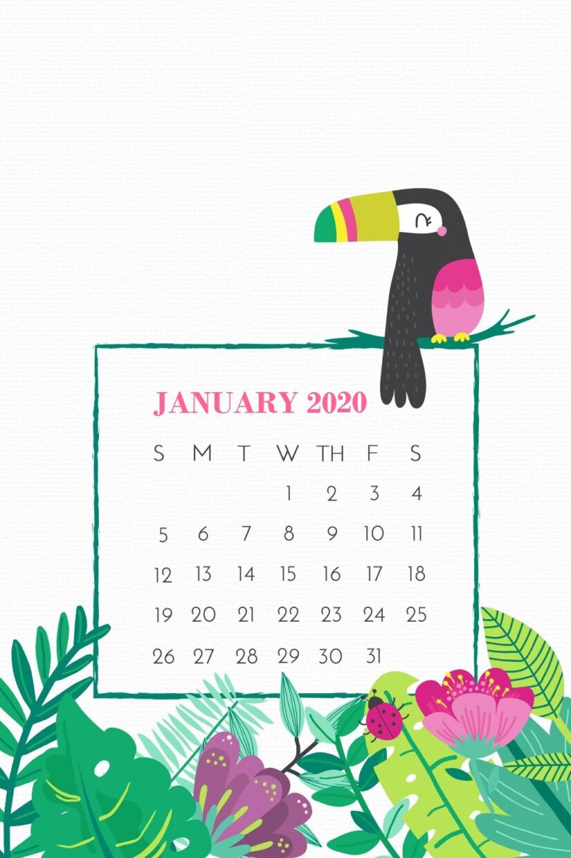 parrot floral january 2020 calendar