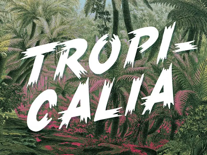 tropicalia unbeliveble font