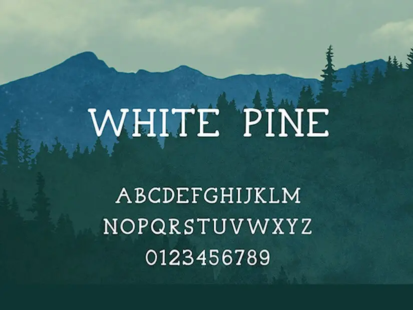 white pine font for your inspiration