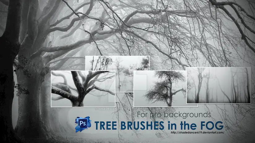 fog trees brushes