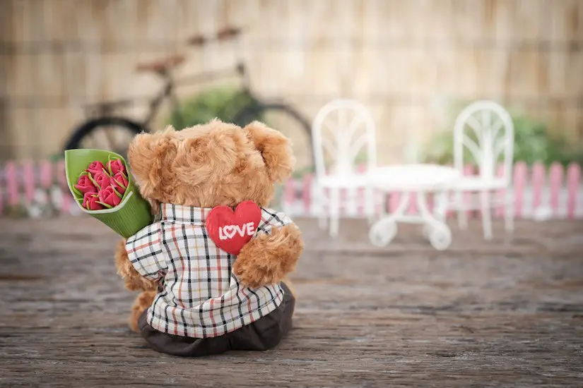 brown bear plush toy holding red rose flower valentine image