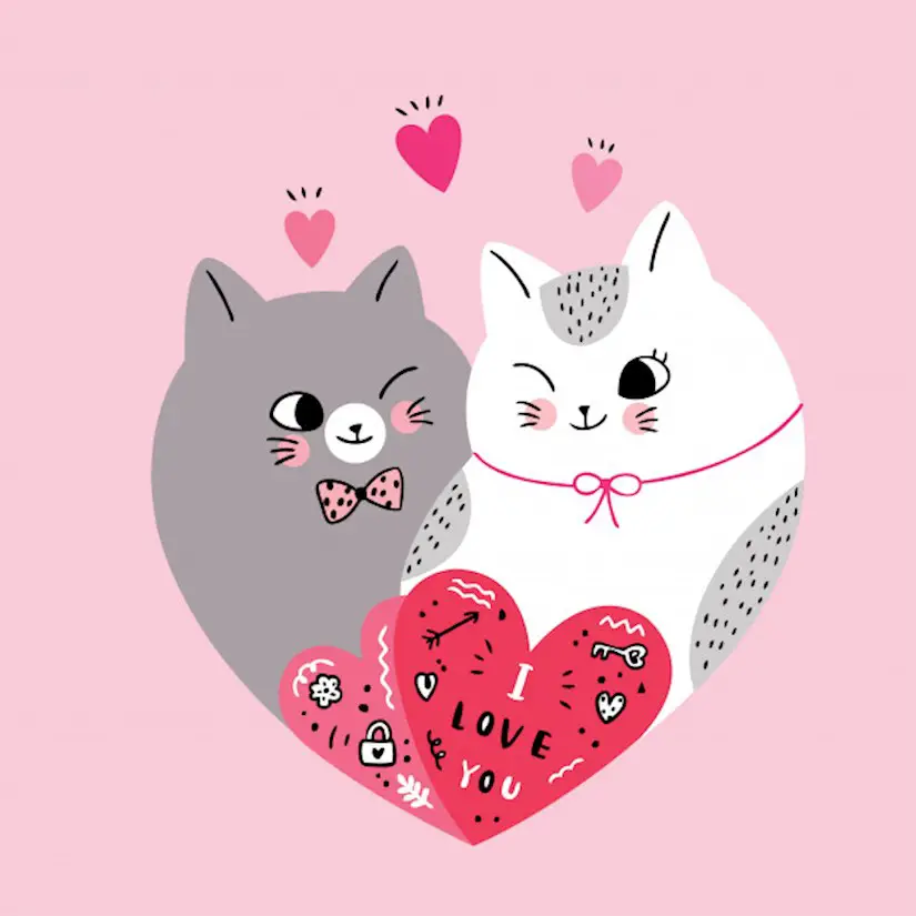 cartoon cute valentines day couple cats shape heart vector image