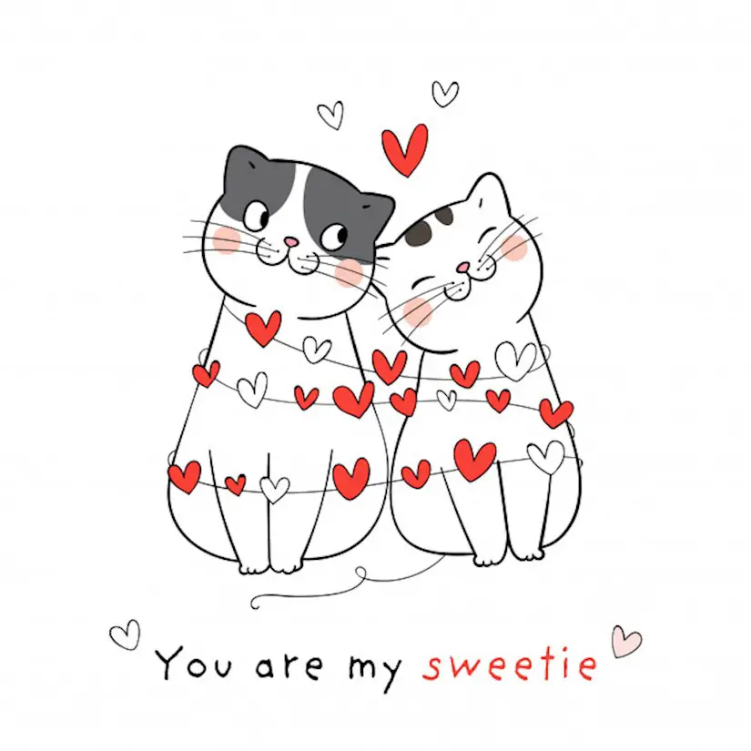 draw couple love cat with little heart valentines day image