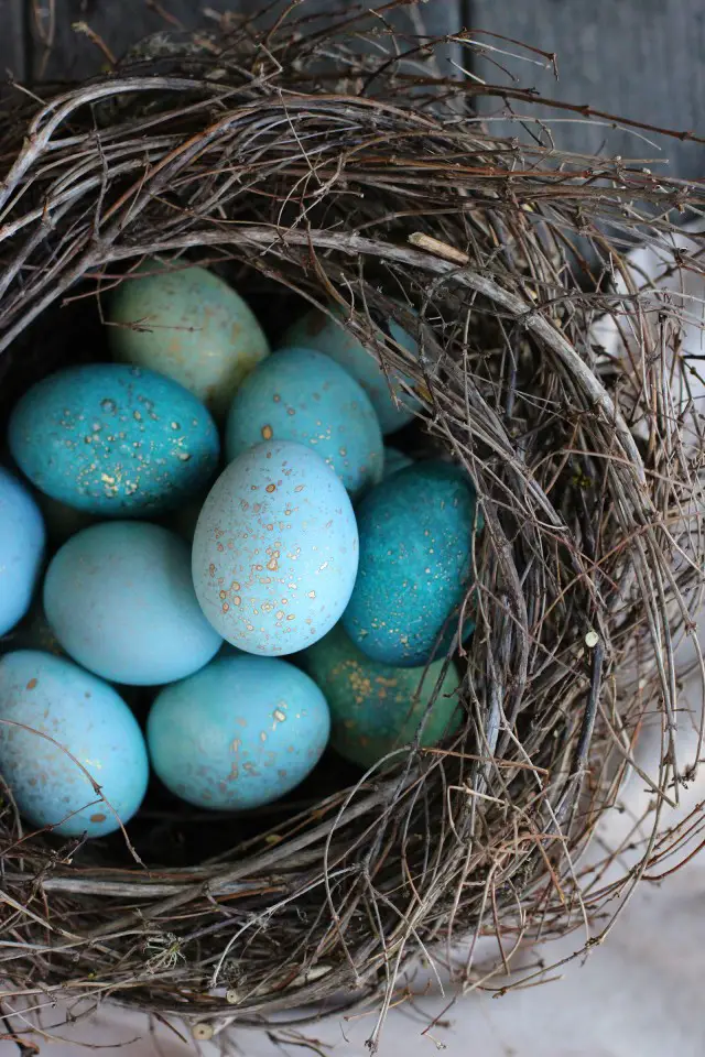 diy dyed robin eggs