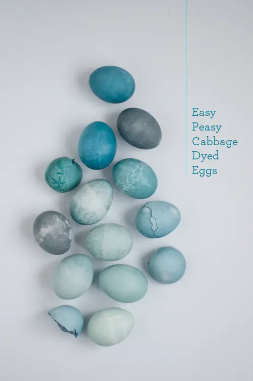 natural egg dye title