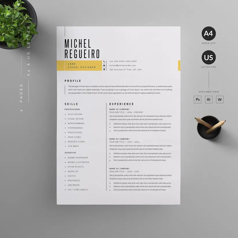 45 Creative Graphic Designer Resume Examples Templates Onedesblog