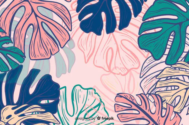 hand drawn colorful monstera background