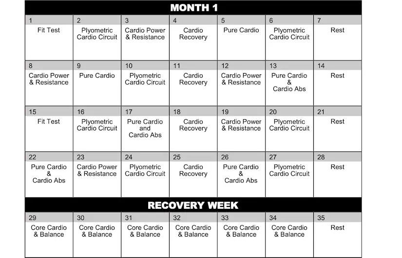 insanity workout schedule download printable pdf templateroller pin