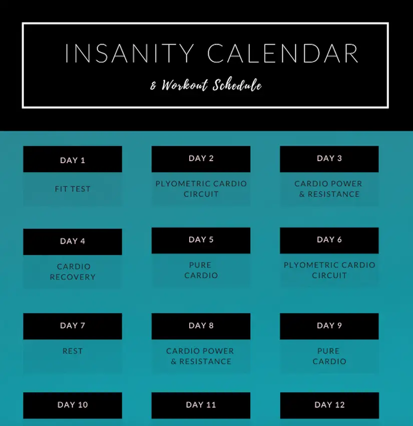 Insanity Workout 60 Day Calendar Blog Dandk