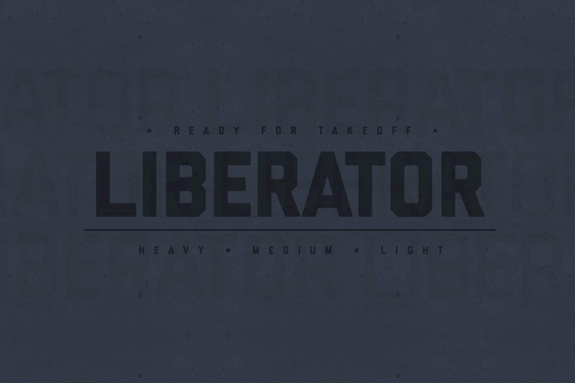 liberator family