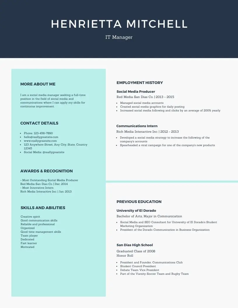 pale turquoise internet technology manager simple resume