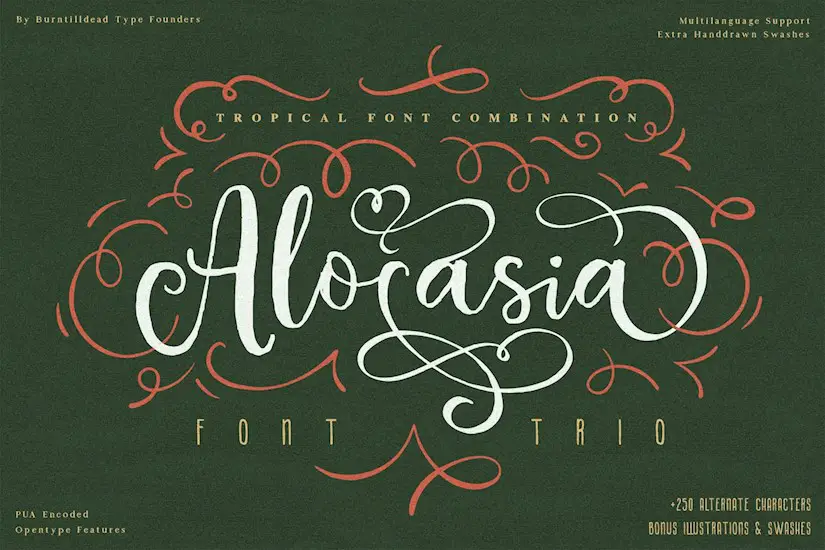 alocasia trio font combination