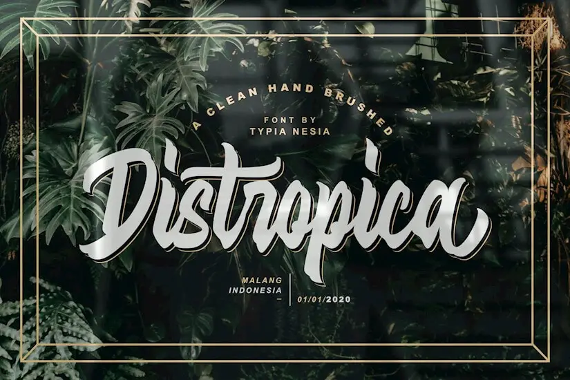 distropica display font