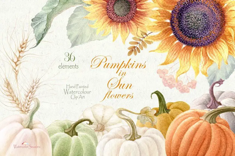 pumpkins in sunflowers elements