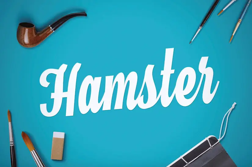 hamster font