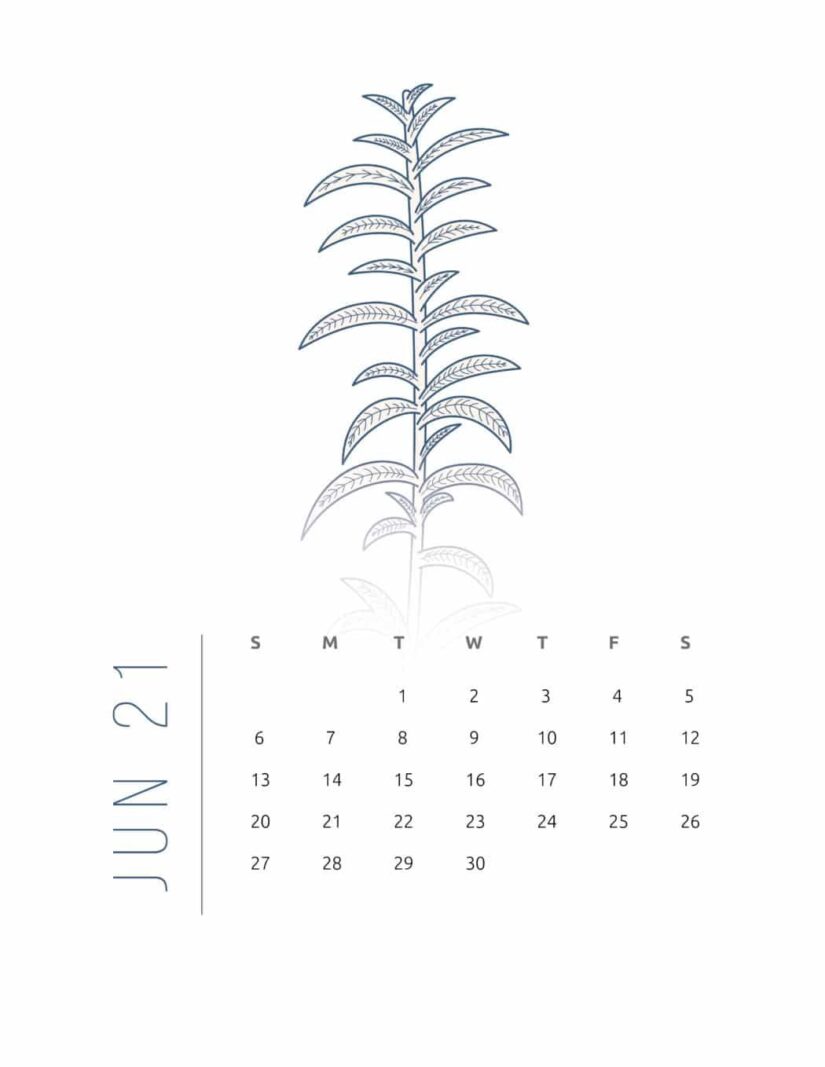 floral frame june 2021 calendar