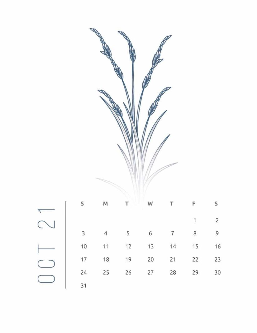 floral frame 2021 calendar 1