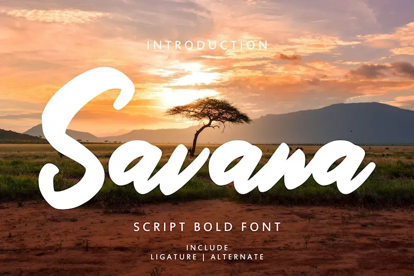 savana script bold font