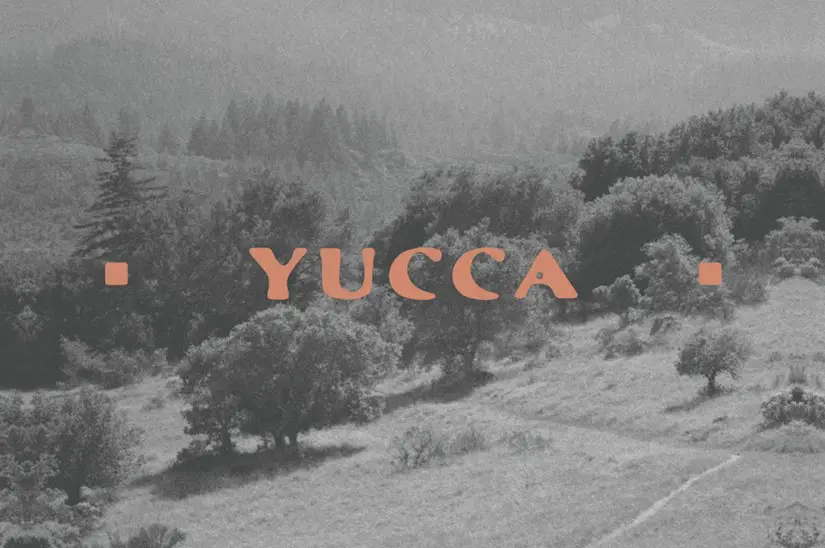 yucca