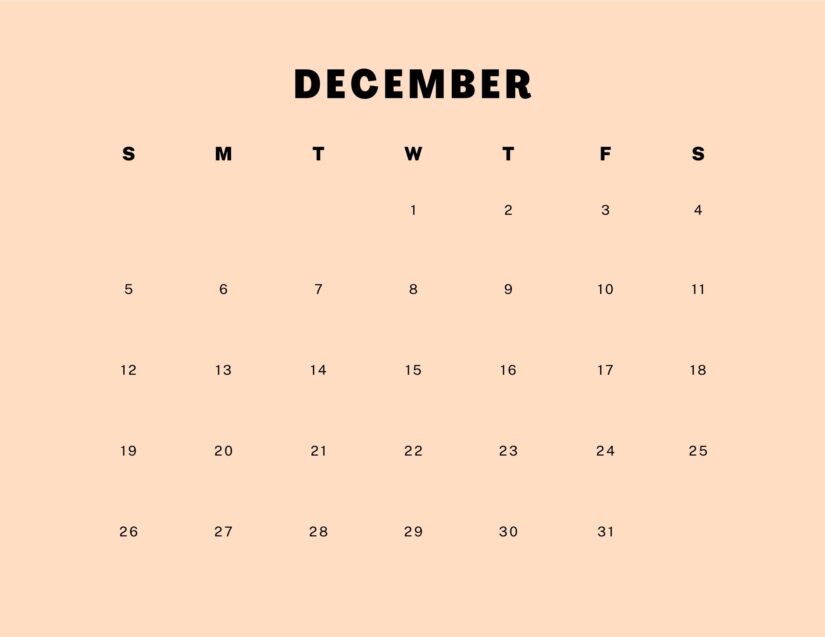 funny december calendar 2021 canva editable