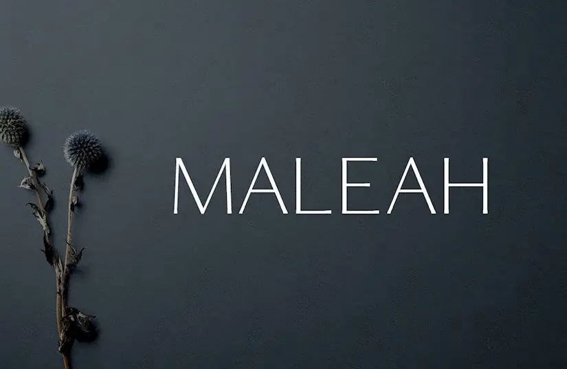maleah sans serif 4 font family pack