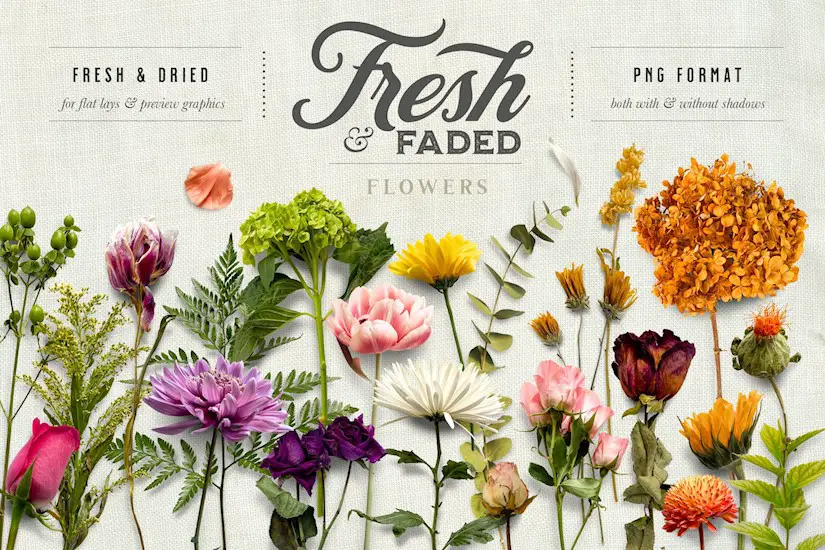 fresh dried flower flat lay