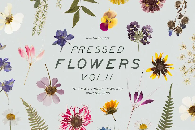 pressed dry flowers herbs vol.2