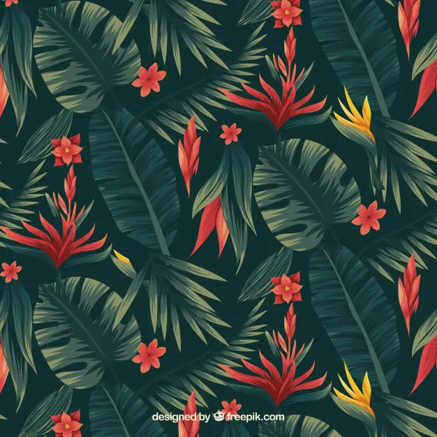 tropical flowers pattern