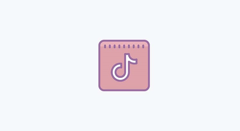 pink tiktok icon