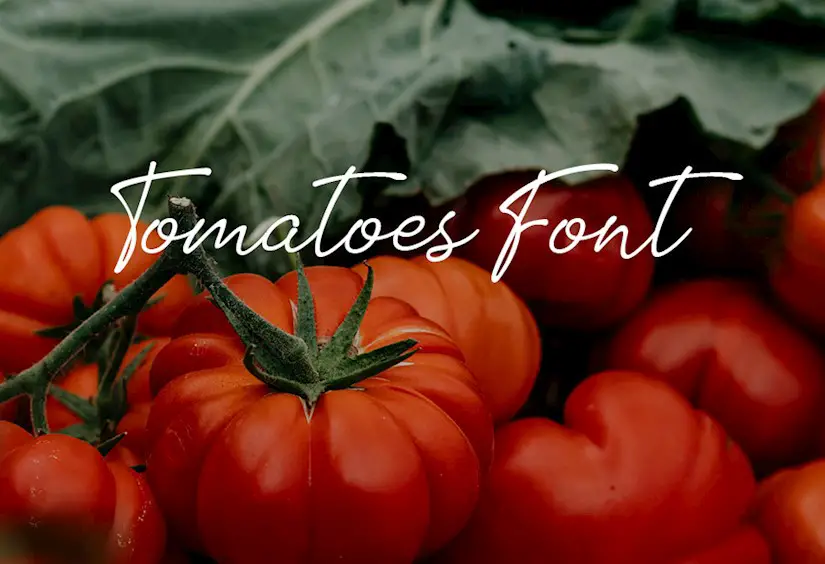 tomatoes font procreate