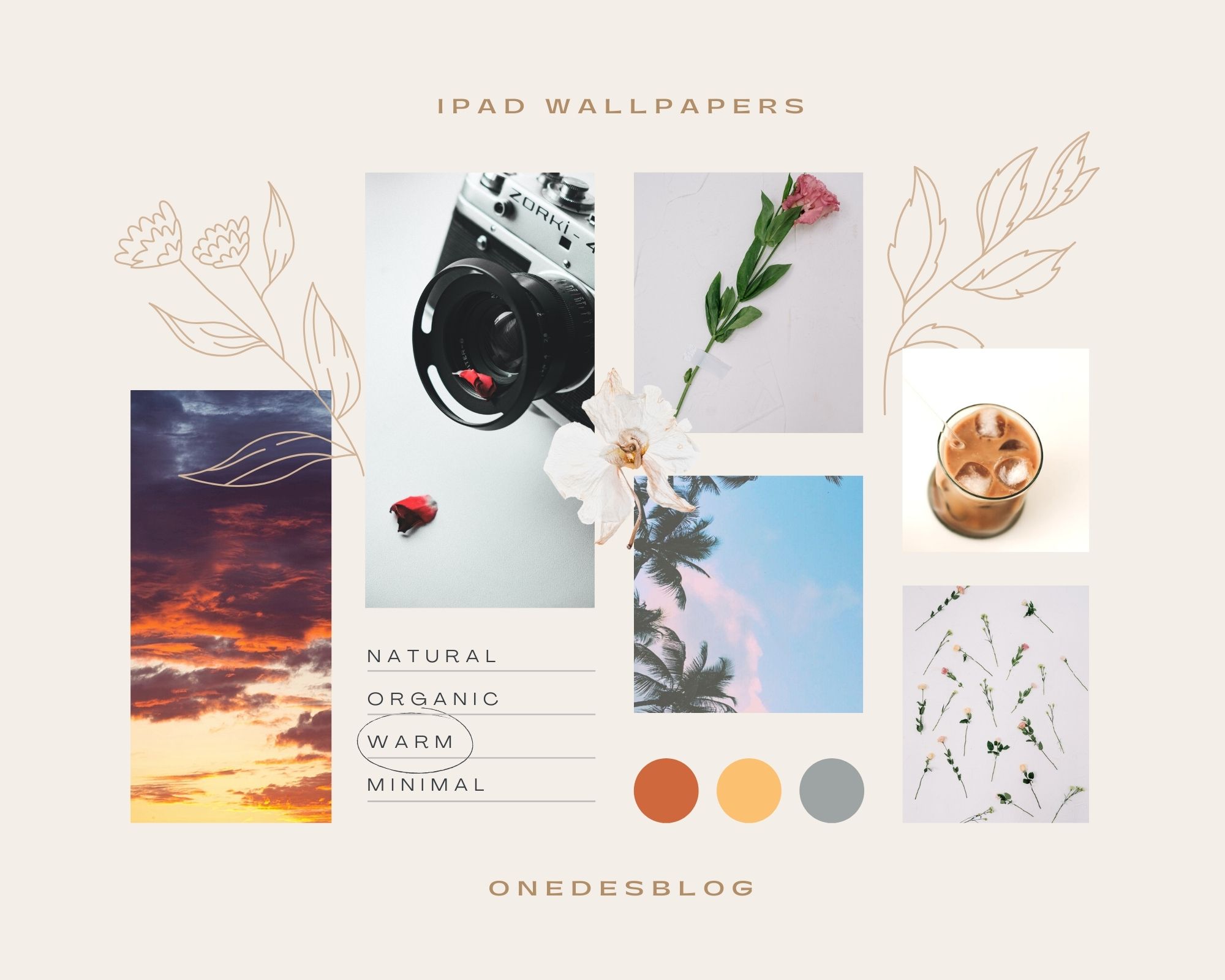 61 Free Aesthetic HD iPad Wallpapers to Download - Onedesblog