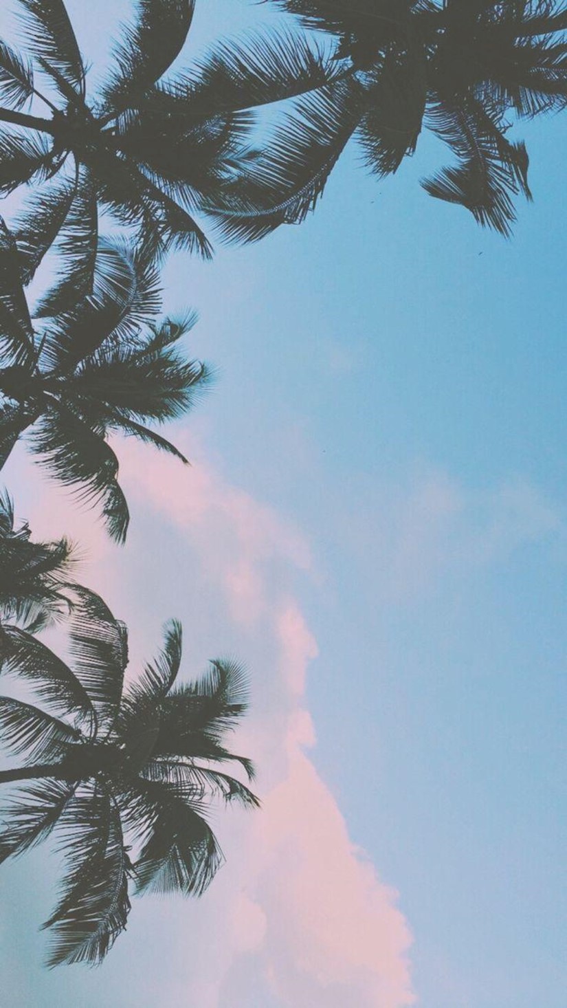 palms aesthetic ipad wallpapers