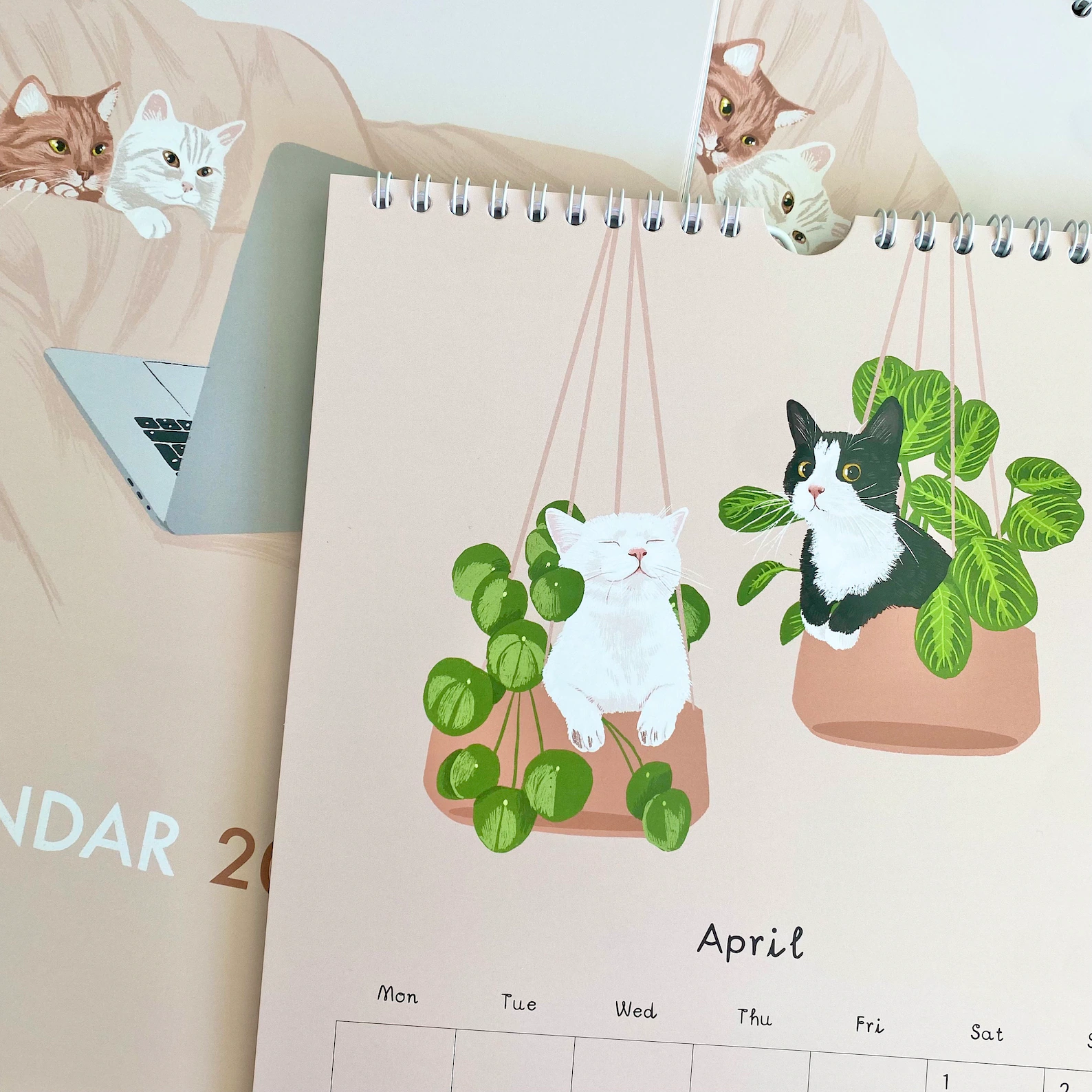 3 cats calendar 2023