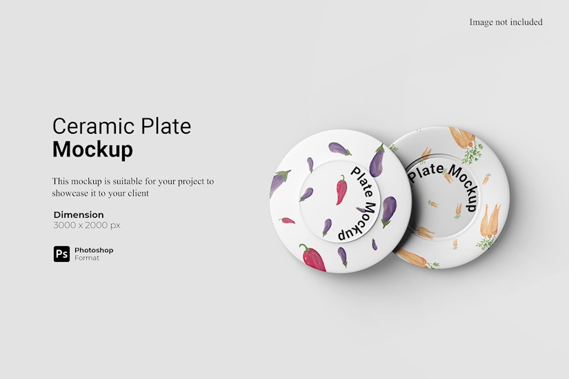 ceramic plate mockup buy